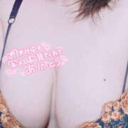 ヒメ日記 2025/06/24 12:06 投稿 ひかり 白いぽっちゃりさん