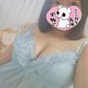 ヒメ日記 2025/06/29 13:52 投稿 ひかり 白いぽっちゃりさん