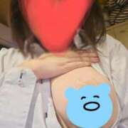 ヒメ日記 2025/08/24 10:36 投稿 ひかり 白いぽっちゃりさん