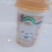 ヒメ日記 2025/08/31 18:24 投稿 ひかり 白いぽっちゃりさん