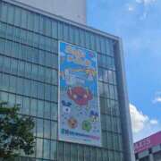 ヒメ日記 2025/09/07 12:03 投稿 ひかり 白いぽっちゃりさん