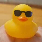 ヒメ日記 2025/09/15 11:03 投稿 ひかり 白いぽっちゃりさん