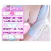 ヒメ日記 2025/10/03 12:06 投稿 ひかり 白いぽっちゃりさん