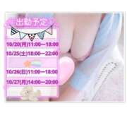 ヒメ日記 2025/10/05 10:02 投稿 ひかり 白いぽっちゃりさん