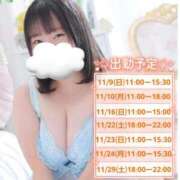 ヒメ日記 2025/11/01 12:05 投稿 ひかり 白いぽっちゃりさん