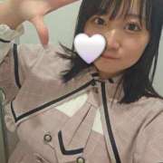 ヒメ日記 2025/11/28 12:11 投稿 ひかり 白いぽっちゃりさん