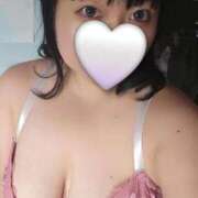 ヒメ日記 2025/12/29 10:52 投稿 ひかり 白いぽっちゃりさん