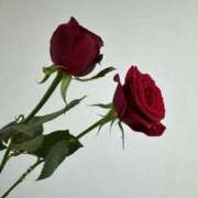 ヒメ日記 2026/03/28 12:51 投稿 りこ おいらん(池袋)