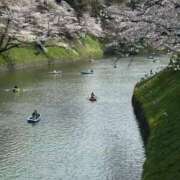 ヒメ日記 2025/04/06 06:00 投稿 胡蝶るい ウルトラセレクション