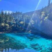 ヒメ日記 2025/06/16 00:40 投稿 胡蝶るい ウルトラセレクション