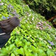 ヒメ日記 2025/06/20 12:55 投稿 胡蝶るい ウルトラセレクション