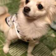 ヒメ日記 2025/08/08 23:40 投稿 胡蝶るい ウルトラセレクション