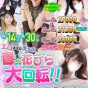 ヒメ日記 2025/04/14 20:31 投稿 りん MAHARAJA(マハラジャ)千葉