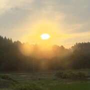 ヒメ日記 2025/06/25 20:02 投稿 りん MAHARAJA(マハラジャ)千葉