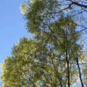 ヒメ日記 2026/04/29 13:55 投稿 りん MAHARAJA(マハラジャ)千葉