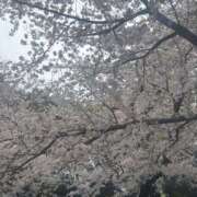 ヒメ日記 2025/04/04 18:21 投稿 みなみ レモンカフェ