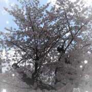 ヒメ日記 2025/04/07 14:09 投稿 山岡乃理子 五十路マダム 沼津店(カサブランカグループ)