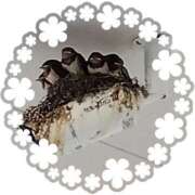 ヒメ日記 2025/06/07 13:13 投稿 山岡乃理子 五十路マダム 沼津店(カサブランカグループ)