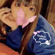 新人ひかり はじめまして🎀 Rips（リップス）