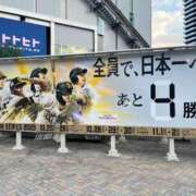 ヒメ日記 2025/10/25 17:56 投稿 ゆな TSUBAKI(ツバキ)