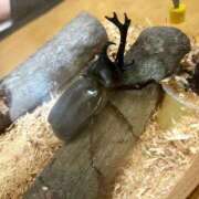 ヒメ日記 2025/07/05 01:47 投稿 蓮-れん【FG系列】 ほんとうの人妻 横浜本店