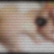 ヒメ日記 2025/04/15 18:42 投稿 顔願 責子 性の極み妻 好き者たちの宴