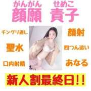 ヒメ日記 2025/04/16 00:36 投稿 顔願 責子 性の極み妻 好き者たちの宴