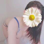 ヒメ日記 2025/05/17 04:12 投稿 顔願 責子 性の極み妻 好き者たちの宴