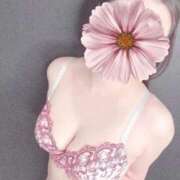 ヒメ日記 2025/09/19 16:22 投稿 顔願 責子 性の極み妻 好き者たちの宴