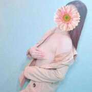 ヒメ日記 2025/09/20 14:42 投稿 顔願 責子 性の極み妻 好き者たちの宴