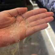 ヒメ日記 2025/10/10 16:03 投稿 顔願 責子 性の極み妻 好き者たちの宴