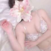 ヒメ日記 2026/02/08 03:42 投稿 顔願 責子 性の極み妻 好き者たちの宴