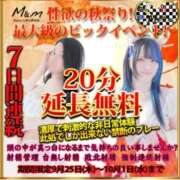 ヒメ日記 2025/09/26 20:17 投稿 ララお嬢様 M&m Maidとm男の夢物語。