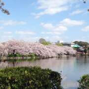 ヒメ日記 2025/04/08 10:38 投稿 あさひ 熟女デリヘル秘宝館Z