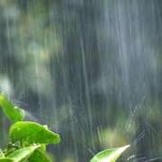 ヒメ日記 2025/04/11 18:13 投稿 あさひ 熟女デリヘル秘宝館Z