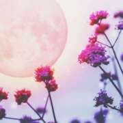 ヒメ日記 2025/04/27 09:15 投稿 あさひ 熟女デリヘル秘宝館Z