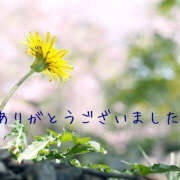 ヒメ日記 2025/05/11 17:11 投稿 あさひ 熟女デリヘル秘宝館Z