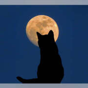 ヒメ日記 2025/05/23 09:02 投稿 あさひ 熟女デリヘル秘宝館Z