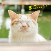 ヒメ日記 2025/06/01 10:09 投稿 あさひ 熟女デリヘル秘宝館Z