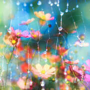 ヒメ日記 2025/06/11 10:43 投稿 あさひ 熟女デリヘル秘宝館Z