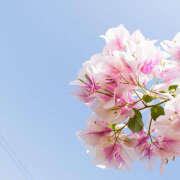 ヒメ日記 2025/07/04 10:16 投稿 あさひ 熟女デリヘル秘宝館Z