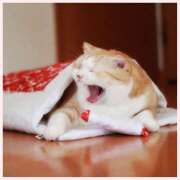 ヒメ日記 2025/07/11 09:53 投稿 あさひ 熟女デリヘル秘宝館Z