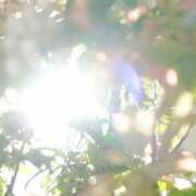 ヒメ日記 2025/07/20 10:18 投稿 あさひ 熟女デリヘル秘宝館Z