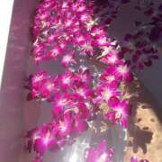 ヒメ日記 2025/09/07 14:00 投稿 あさひ 熟女デリヘル秘宝館Z