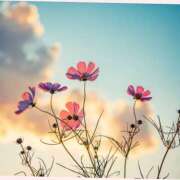 ヒメ日記 2025/09/19 10:01 投稿 あさひ 熟女デリヘル秘宝館Z