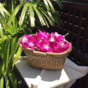 ヒメ日記 2025/10/10 10:46 投稿 あさひ 熟女デリヘル秘宝館Z