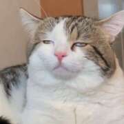 ヒメ日記 2025/10/23 10:36 投稿 あさひ 熟女デリヘル秘宝館Z