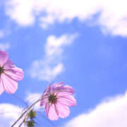 ヒメ日記 2025/10/25 10:44 投稿 あさひ 熟女デリヘル秘宝館Z