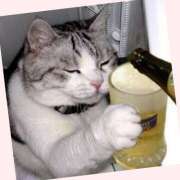 ヒメ日記 2025/11/03 10:36 投稿 あさひ 熟女デリヘル秘宝館Z