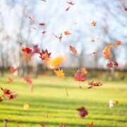 ヒメ日記 2025/11/04 10:47 投稿 あさひ 熟女デリヘル秘宝館Z